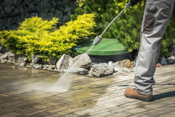 Animal Enclosure Cleaning in Trumansburg, NY