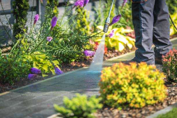 Trusted Trumansburg, NY Pressure Washing Services Experts