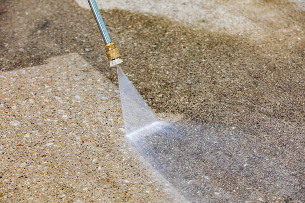 Best Roof Washing  in Trumansburg, NY