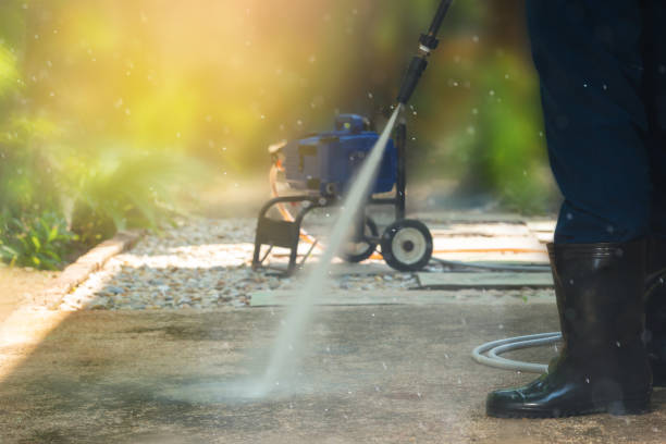 Best Driveway Pressure Washing  in Trumansburg, NY
